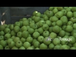 Apples Granny Smith 1 1046